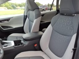 Toyota RAV4 Hybrid full