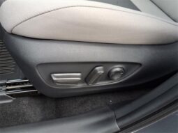 Toyota RAV4 Hybrid full