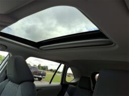 Toyota RAV4 Hybrid full