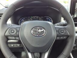 Toyota RAV4 Hybrid full