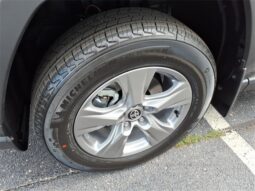 Toyota RAV4 Hybrid full