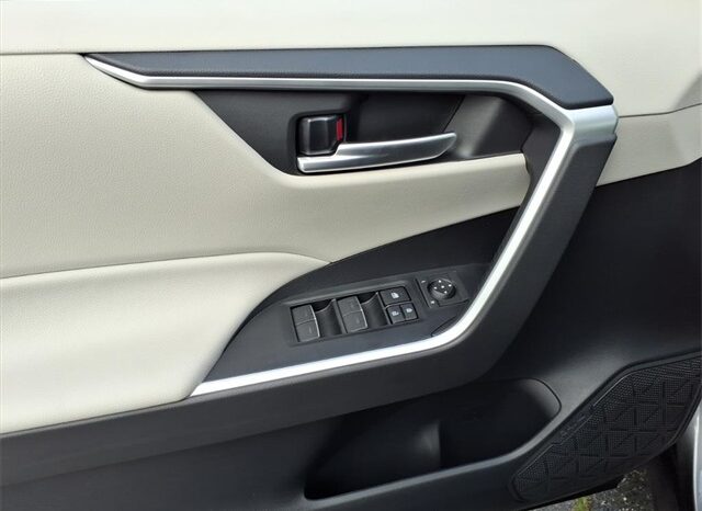 
 Toyota RAV4 Hybrid full									
