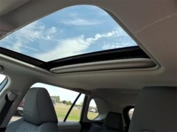 
 Toyota RAV4 full									