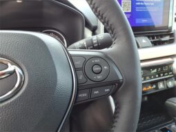 
 Toyota RAV4 full									