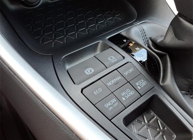
 Toyota RAV4 full									