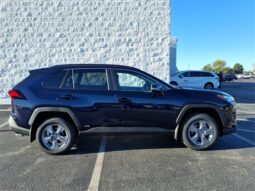 
 Toyota RAV4 Hybrid full									