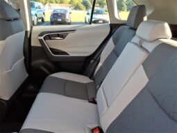 
 Toyota RAV4 Hybrid full									