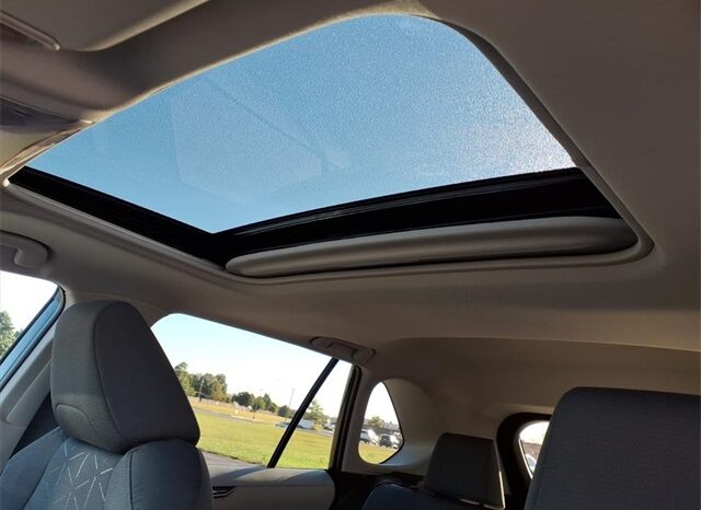 
 Toyota RAV4 Hybrid full									