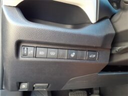 
 Toyota RAV4 Hybrid full									