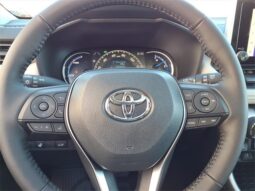 
 Toyota RAV4 Hybrid full									