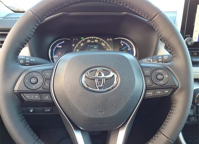 
 Toyota RAV4 Hybrid full									