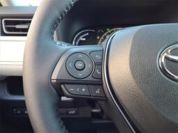 
 Toyota RAV4 Hybrid full									