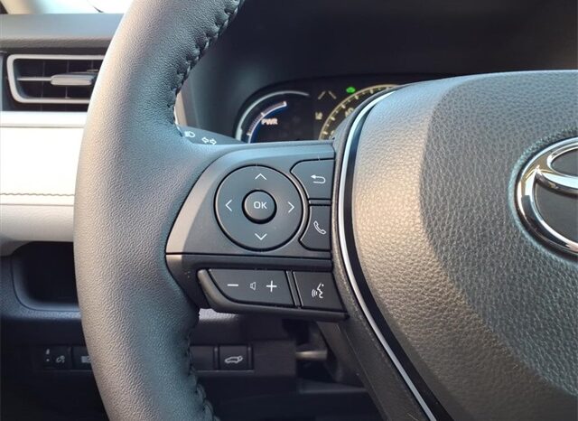 
 Toyota RAV4 Hybrid full									