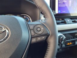 
 Toyota RAV4 Hybrid full									