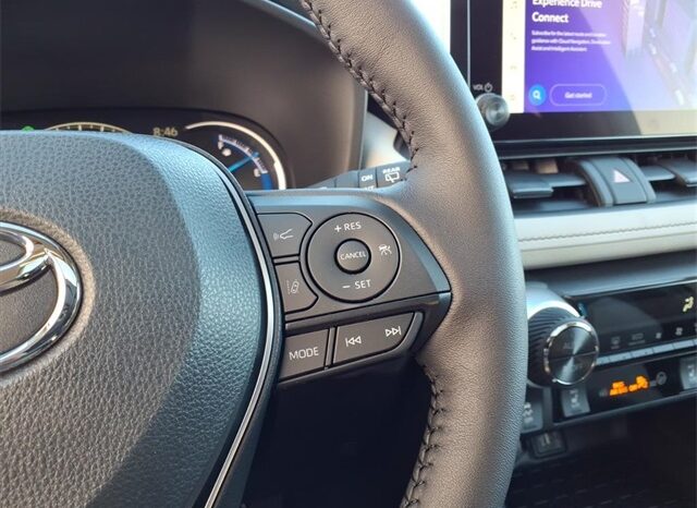 
 Toyota RAV4 Hybrid full									