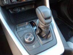 
 Toyota RAV4 Hybrid full									