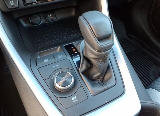 
 Toyota RAV4 Hybrid full									