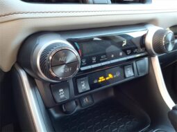 
 Toyota RAV4 Hybrid full									