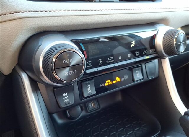 
 Toyota RAV4 Hybrid full									