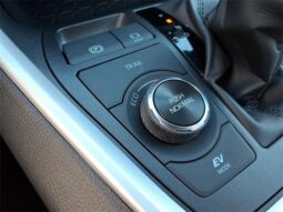 
 Toyota RAV4 Hybrid full									