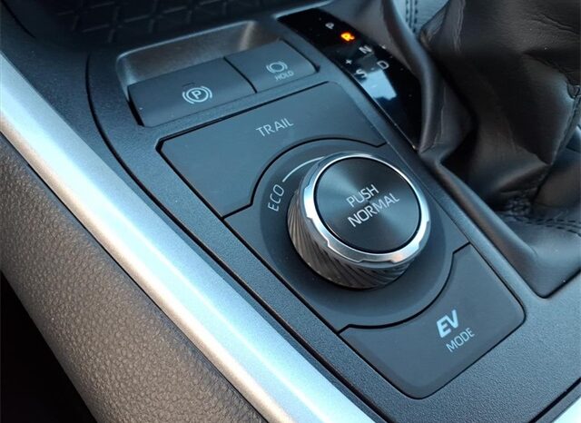 
 Toyota RAV4 Hybrid full									