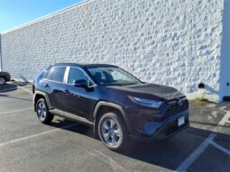 
 Toyota RAV4 Hybrid full									