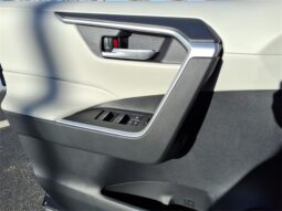 
 Toyota RAV4 Hybrid full									