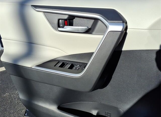 
 Toyota RAV4 Hybrid full									