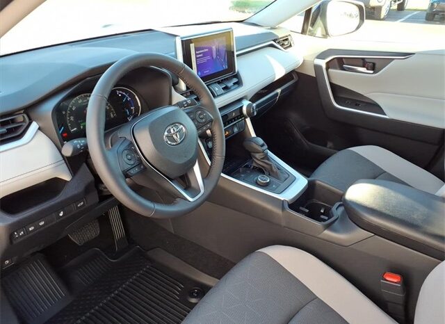 
 Toyota RAV4 Hybrid full									