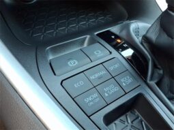 Toyota RAV4 full
