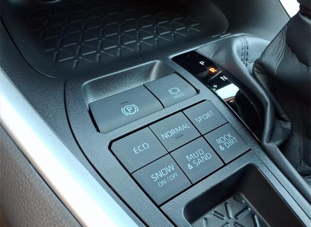 
 Toyota RAV4 full									