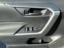 Toyota RAV4 full