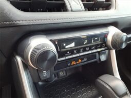 Toyota RAV4 full