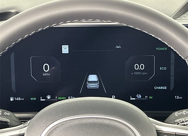 
 Kia Carnival Hybrid full									