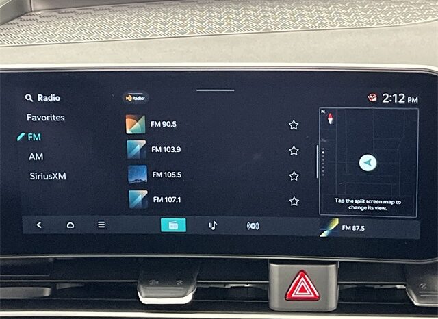 
 Kia Carnival Hybrid full									