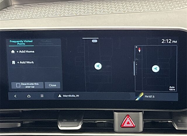 
 Kia Carnival Hybrid full									