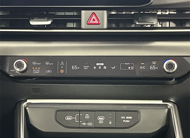 
 Kia Carnival Hybrid full									