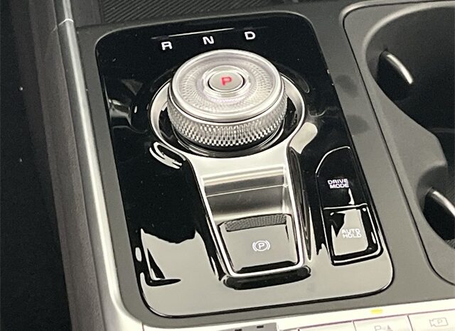 
 Kia Carnival Hybrid full									