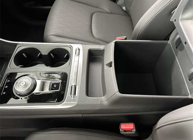 
 Kia Carnival Hybrid full									