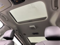 Kia Carnival Hybrid full