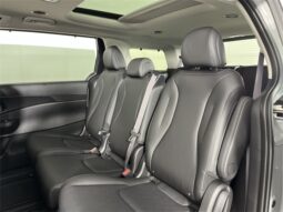 Kia Carnival Hybrid full