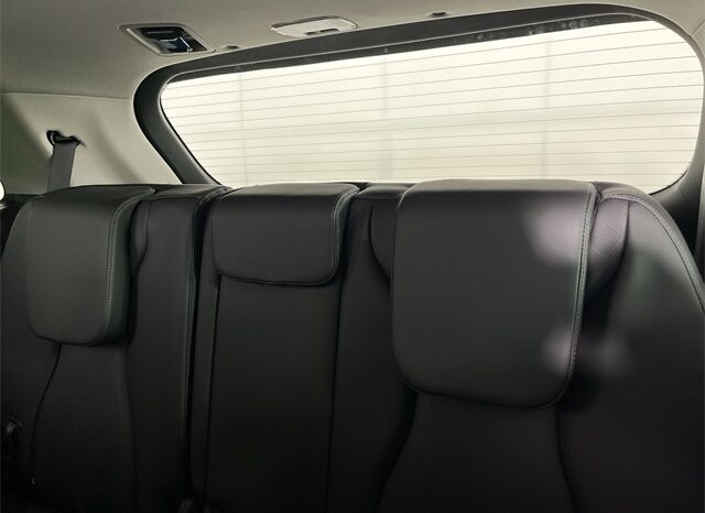 
 Kia Carnival Hybrid full									