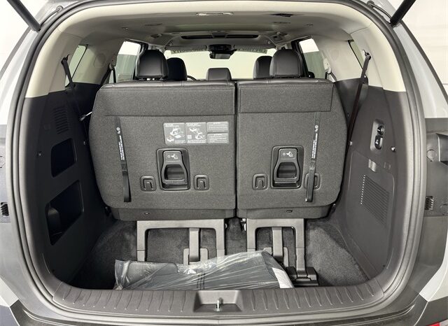 
 Kia Carnival Hybrid full									