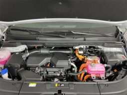 Kia Carnival Hybrid full