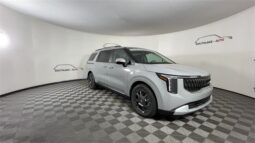 
 Kia Carnival Hybrid full									