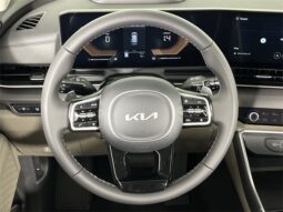 
 Kia Carnival Hybrid full									