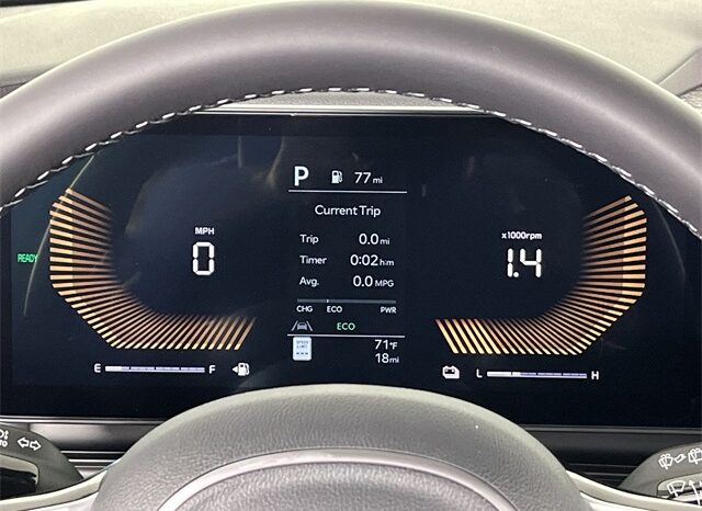 
 Kia Carnival Hybrid full									