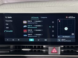
 Kia Carnival Hybrid full									