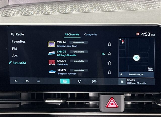 
 Kia Carnival Hybrid full									
