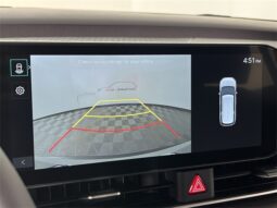 
 Kia Carnival Hybrid full									